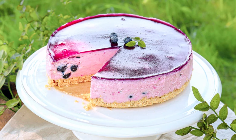 Borůvkový cheesecake s odseknutým kusem na bílém talíři venku.