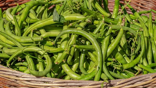 Fresh green beans in basket