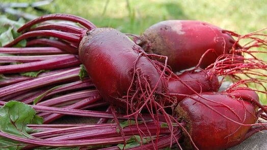 Čerstvá řepa s listy na dřevěném povrchu venku