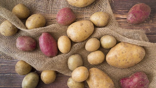 Potatoes on burlap cloth