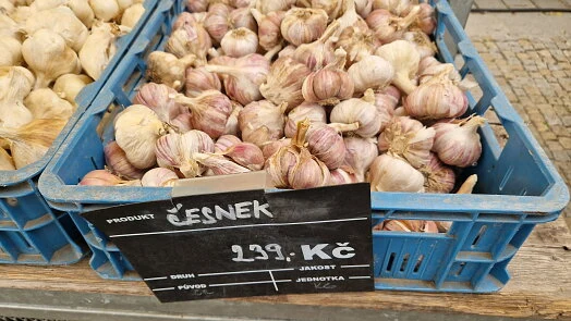Svěží česnek v modrém košíku na trhu s cenou za kilogram.